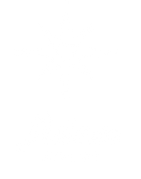 Fidem